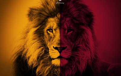 亿德电竞独家-三中卫又回来了