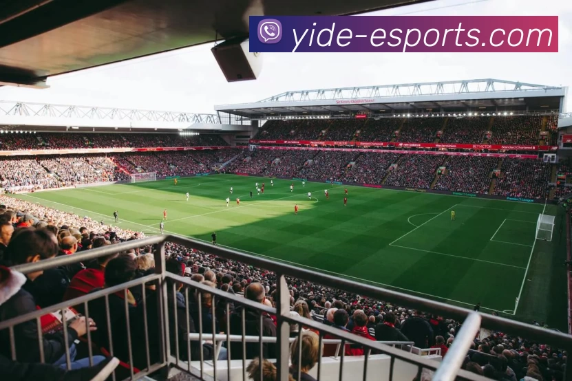 亿德电竞平台发展历程